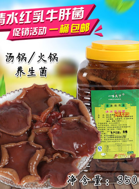 【广威食品】一味天下清水红乳牛肝菌 野生菌 养生菌3500克包邮