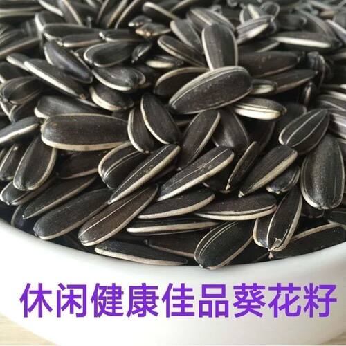 云南生瓜子生葵花籽新货 葵花子可做种子向日葵花籽休闲袋装食品