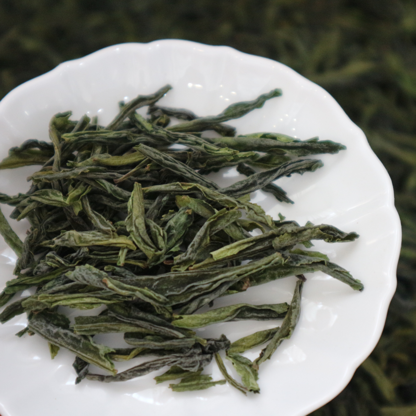 青山｜六安瓜片｜2025年新茶特級 齊頭山蝙蝠洞 手工茶