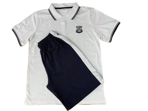 华南师范大学初中校服 夏秋冬短袖纯棉T恤  运动装新款 本地秒发