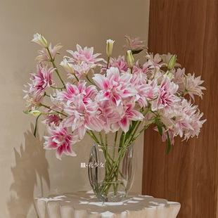 囍花 多头伊莎贝拉重瓣百合 送妈妈自己家养闭眼入真的鲜花不带根