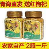 食用青海油菜花粉农家自产茶花粉新鲜无破壁正品 青海蜂花粉500g