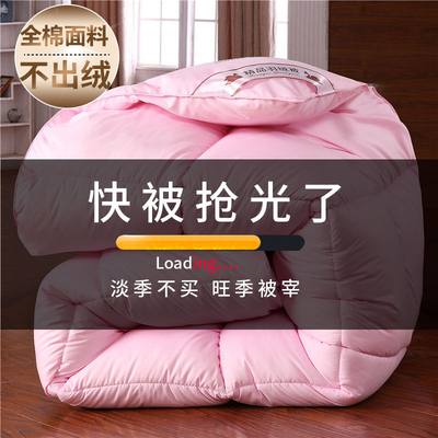 冬季加厚保暖羽绒被芯