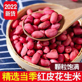 东北新四粒生红皮花生米带壳农家晒干新鲜红皮花生无染色