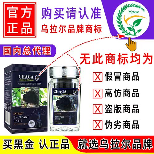 桦树茸黑金俄罗斯桦褐孔菌
