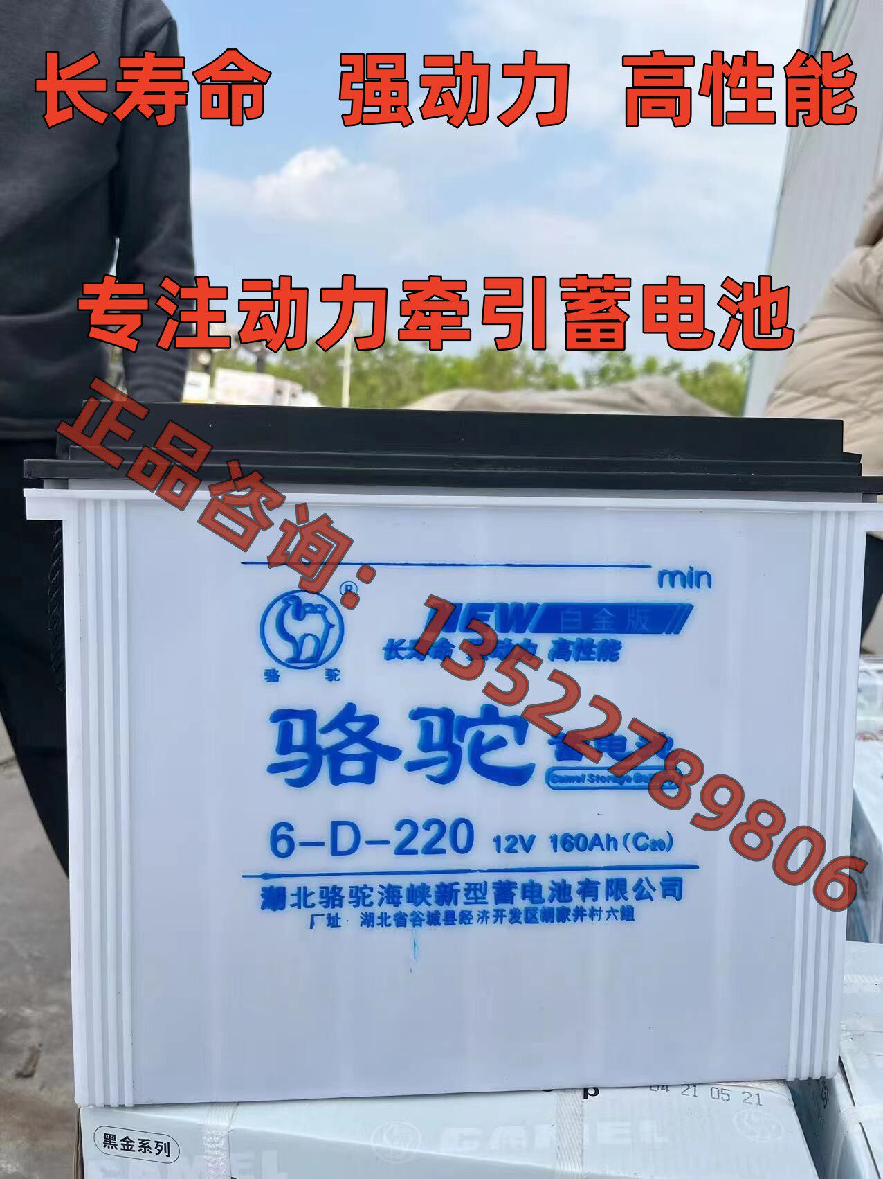 骆驼水电瓶6-d-220更新为6-ev-320型 电动拉货三轮车环卫车蓄电池