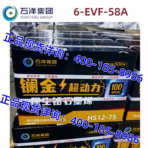 万洋电瓶6-EVF-58镧金HS12-75