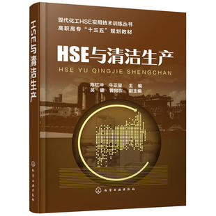 职业卫生防护安全生产环境保护清洁生产管理教材 HSE与清洁生产 HSE管理理论和清洁生产 陈红冲 HSE普及教学企业培训教程指南书籍