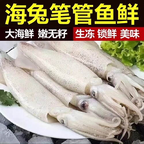 生皮海兔生无籽笔管鱼