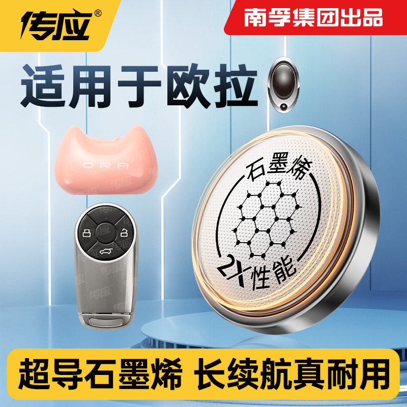 适用长城欧拉好猫GT芭蕾猫闪电猫南孚传应车钥匙电池纽扣CR2032