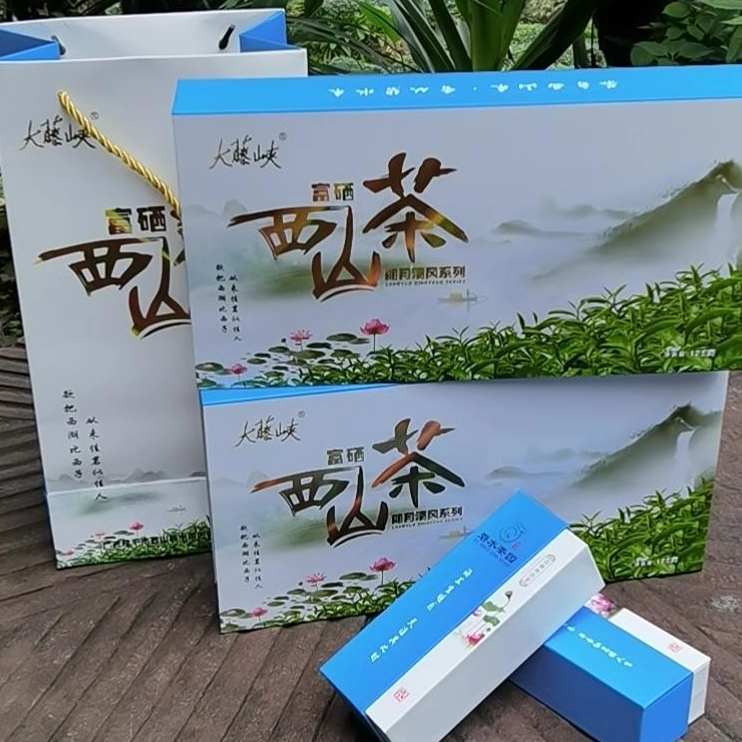 桂平西山茶碧水茶园大藤峡清风系列西山茶绿茶礼盒250/盒礼盒套装