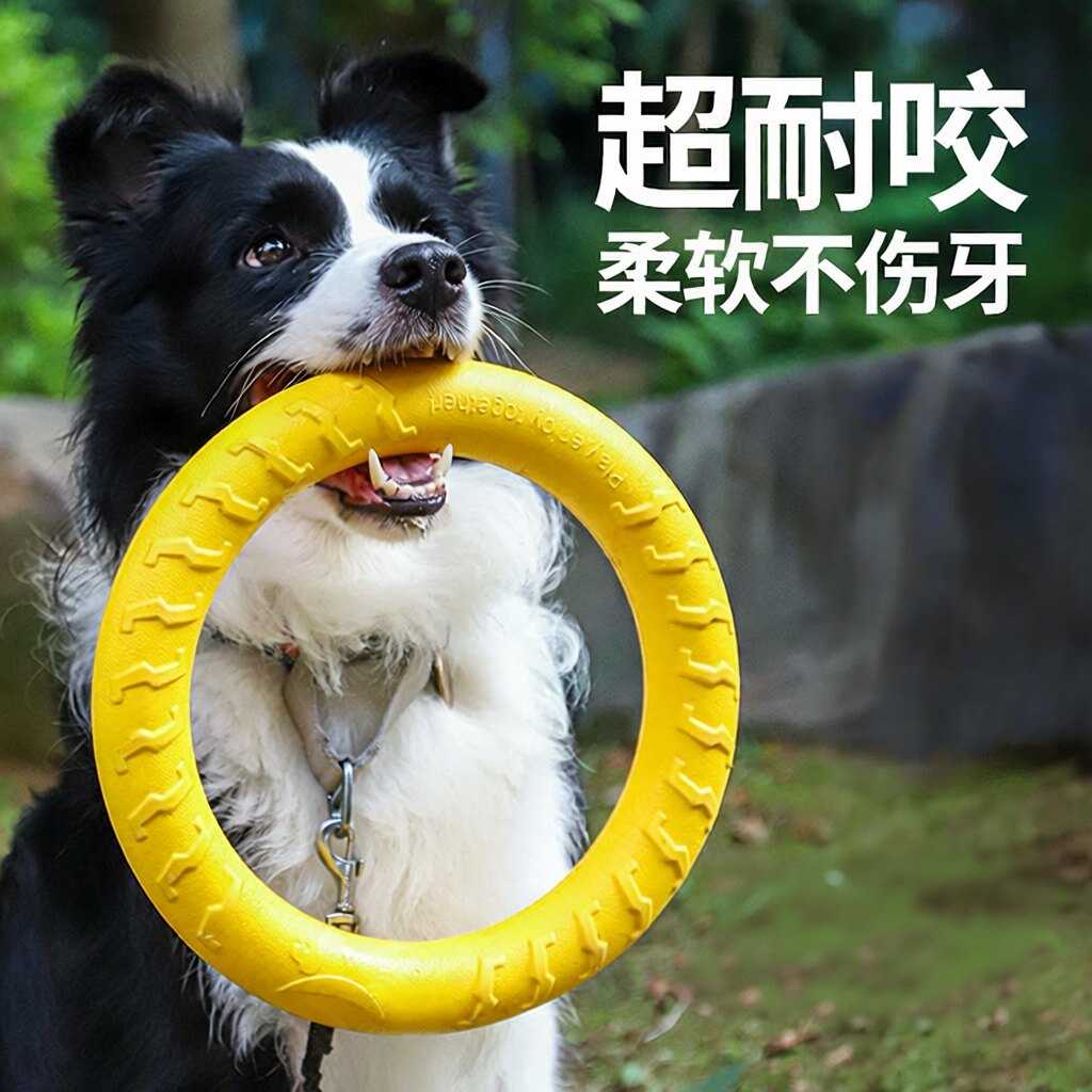 狗狗玩具专业圈圈耐咬拉布拉多金毛边牧犬浮水训小狗玩具宠物玩具