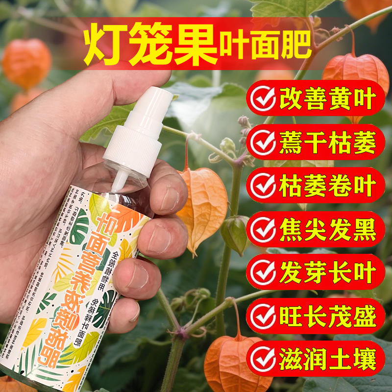 灯笼果树专用肥料盆栽种植果树营养液旺长生根发芽促长新叶面肥料