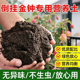 倒挂金钟专用土料老桩盆栽营养土种植肥开花旺长生根孕育花苞家用