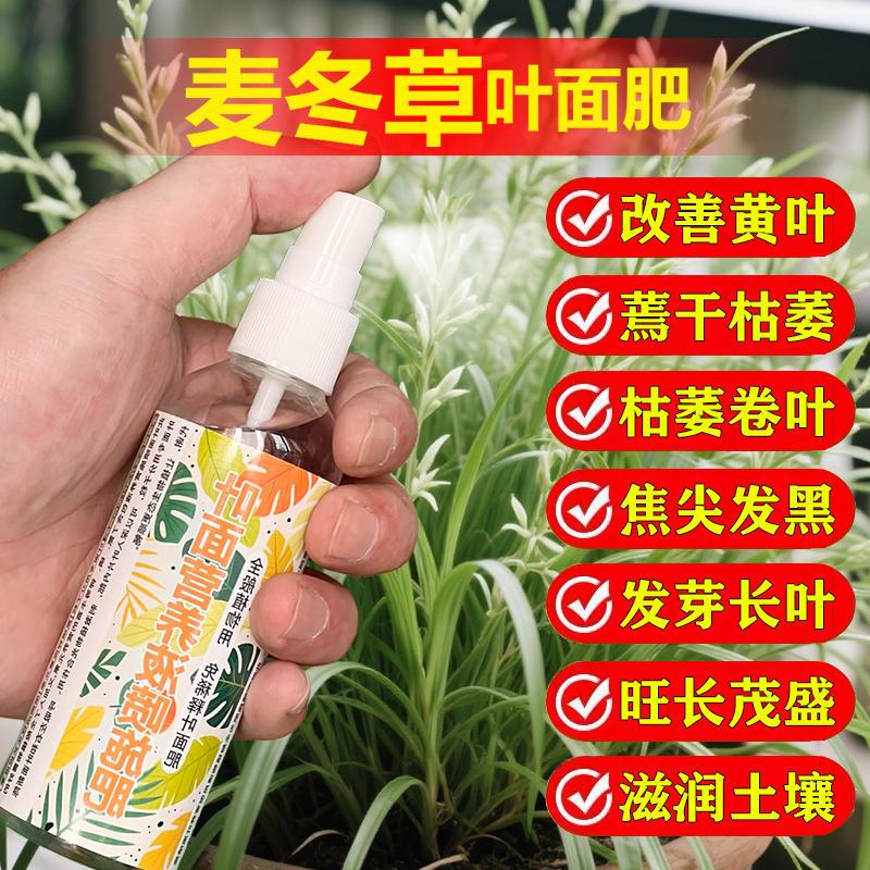 麦冬草专用肥料绿植草坪草地土复合营养液叶面肥有机肥水溶化肥料