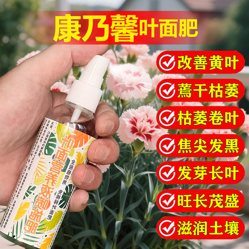 康乃馨专用肥料营养液孕育花苞促进开花旺长茂盛促长侧芽叶面肥料