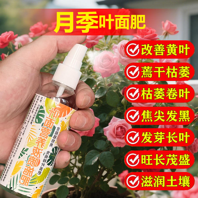 月季专用肥料玫瑰花肥蔷薇营养液开花爬藤生长发新芽直立叶面肥料