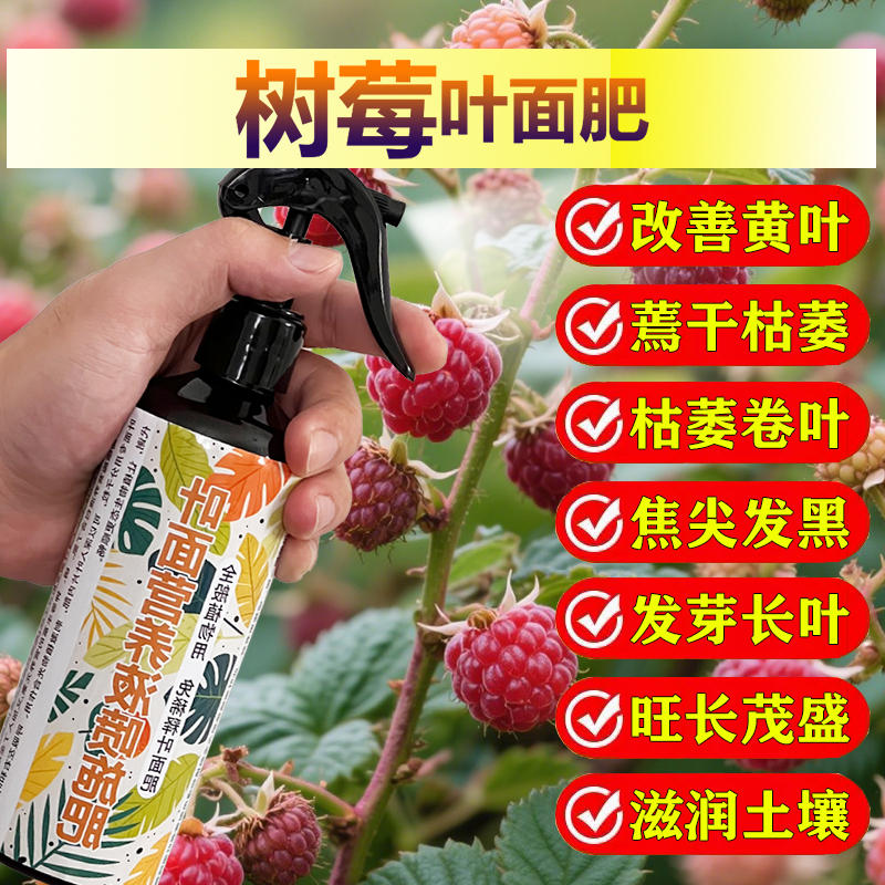 树莓树专用肥料盆栽种植树莓果树苗营养液氮磷钾颗粒浓缩有机肥料