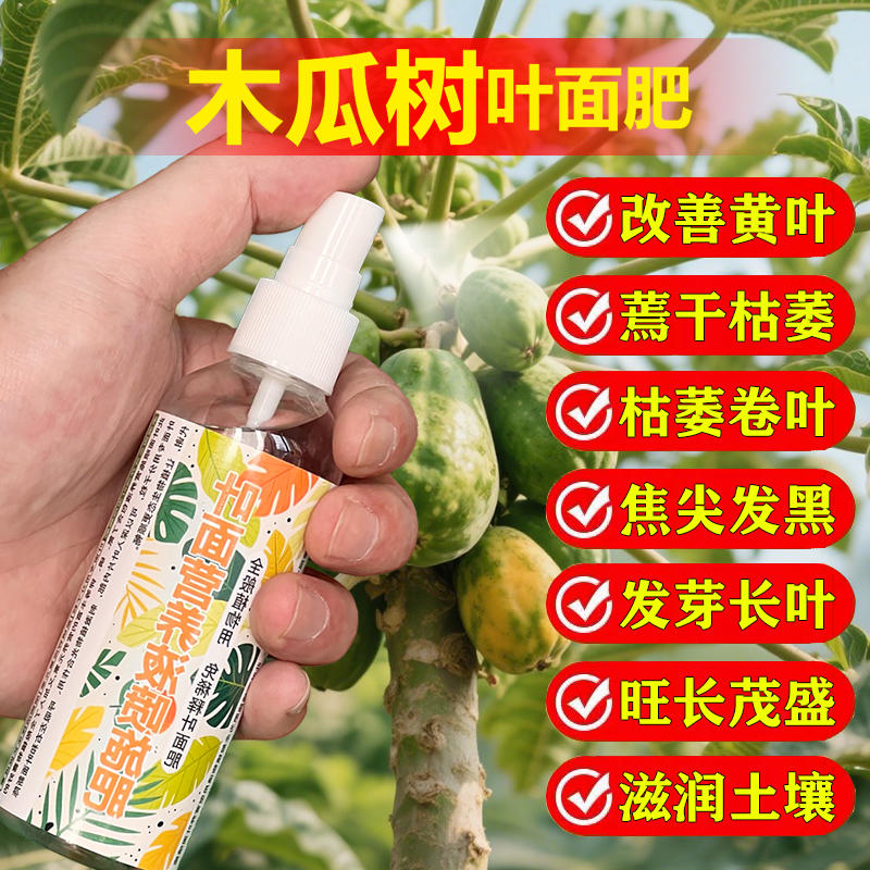 木瓜果树专用肥料种植木瓜树苗营养液发黄枯萎锈斑蔫卷曲叶面肥料