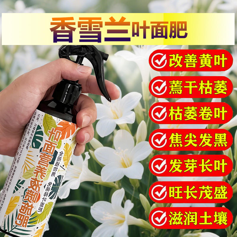 香雪兰专用肥料种植种球花苗土培水培花肥营养液叶面肥水溶化肥料