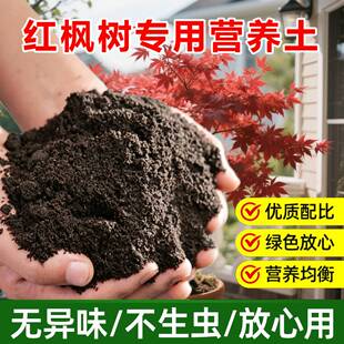 红枫树专用土料盆栽羽毛枫树营养土种植家用卷曲尖焦枯萎种植家用