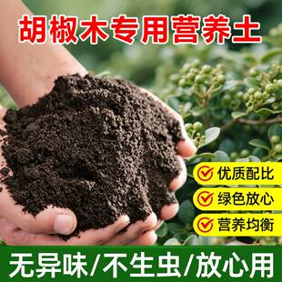 胡椒木专用土料绿植物清香木清香胡椒木盆栽土培养殖营养土花家用