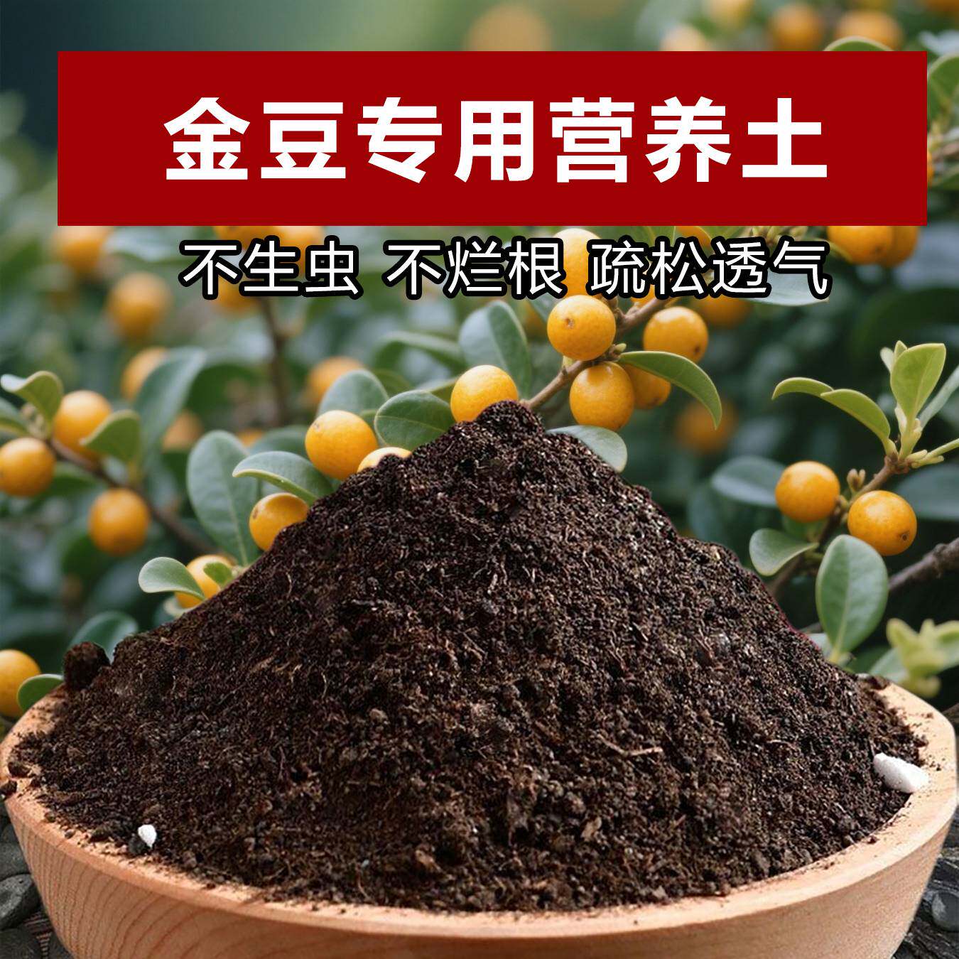 金豆专用土料盆景植物下山树桩老桩小金豆豆盆栽营养土颗粒花家用