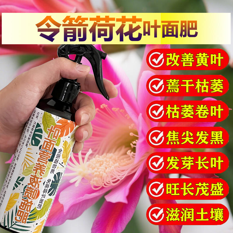 令箭荷花专用肥料家用室内阳台盆栽植物营养液花肥三元素缓释肥料