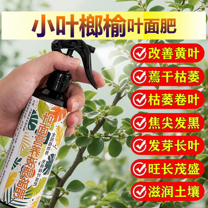 小叶榔榆专用肥料树苗盆景土壤复合营养液氮磷钾发芽长新叶面肥料