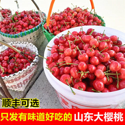 山东大樱桃新鲜采摘原产地直发