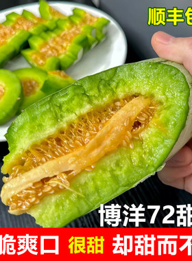 正宗博洋72号甜瓜香瓜新鲜水果山东头茬现摘当季整箱 非羊角蜜瓜