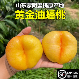 油蟠桃新鲜水果正宗山东蒙阴蜜桃原产地当季扁桃黄金油桃彩虹蟠桃