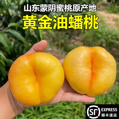黄金油蟠桃正宗蒙阴蜜桃产地直发