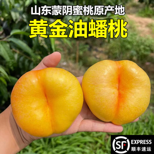黄金油蟠桃正宗蒙阴蜜桃产地直发