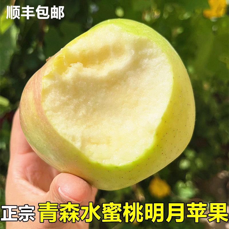 青森水蜜桃明月苹果新鲜正宗山东当季整箱孕妇水果脆甜明月青苹果