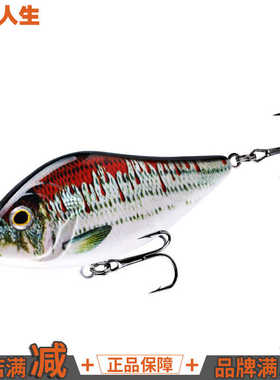 【渔阅人生】路亚狗鱼饵沉水仿真VIB冷水哲罗鲑石斑淡海水通用饵