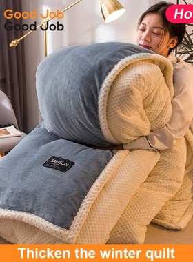 6kgwarm quilt winter bed comforter duvet blanket cover이불심