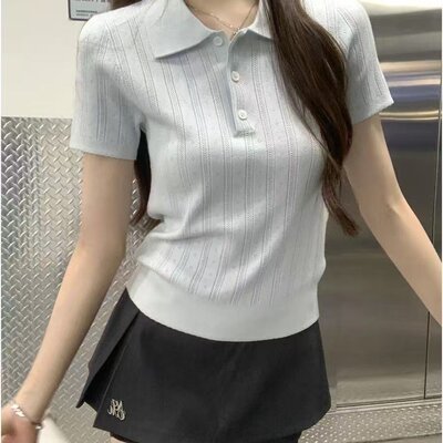夏天巨好看的凉感polo领冰丝针织短袖t恤女韩系chic别致小衫上衣
