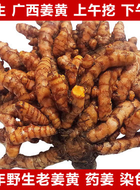 广西正宗姜黄现挖新鲜野生老姜小黄姜月子姜黄姜鸡汤生黄肉姜包邮