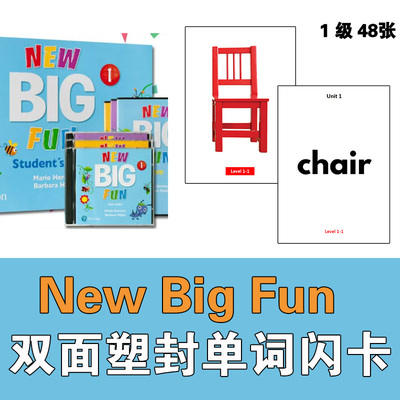 朗文培生NewBigFun英语单词卡儿童启蒙NBF塑封教学闪卡教师教具