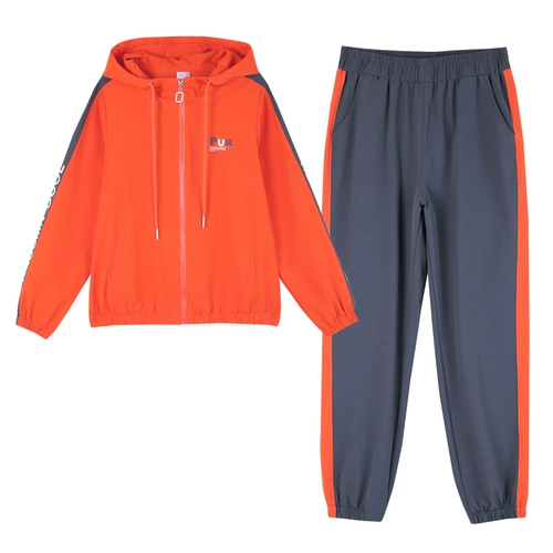 Спортивный костюм, комплект, быстросохнущая толстовка с капюшоном для отдыха, осенний, коллекция 2022, в западном стиле