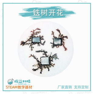铁树开花STEAM幼小初物理科学实验益智启蒙教具材料包科技小制作