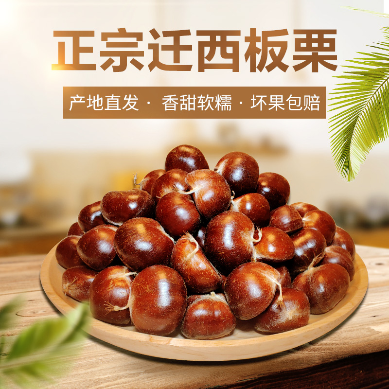 2025年迁西板栗新鲜生栗子燕山特产正宗早期3113农家自产大油栗