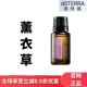 美国官网正品 doTERRA多特瑞薰衣草精油15ml香薰按摩助眠修复疤痕
