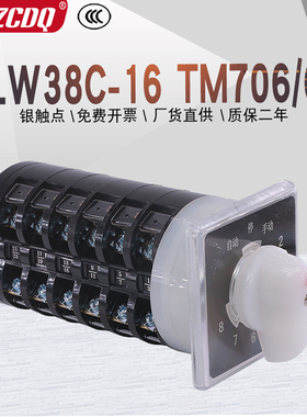 LW38C-16 TM706/6电容器主屏用八回路电流调节3F86063/6转换开关