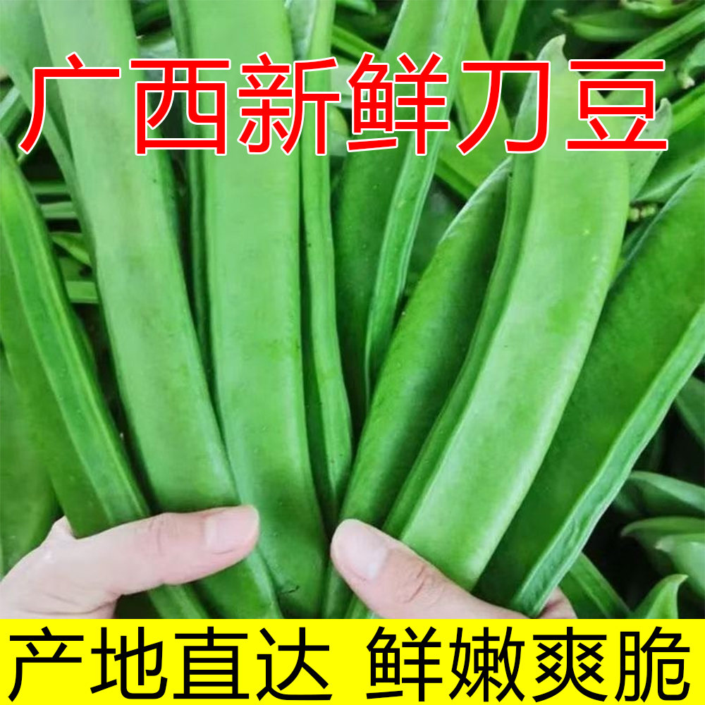 广西特产新鲜刀豆整箱包邮