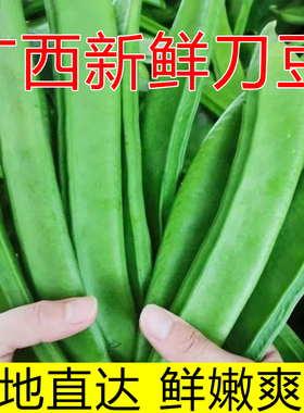 新鲜刀豆广西特产现摘大芭豆扁豆当季大虫豆时令疏菜鲜嫩脆爽炒腌