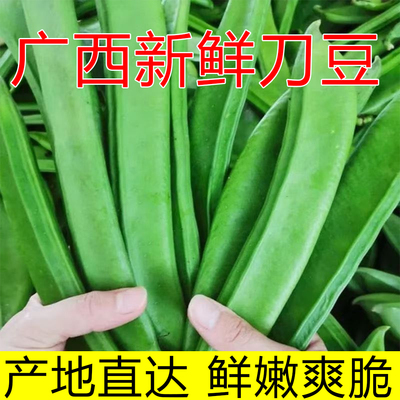 广西特产新鲜刀豆整箱包邮