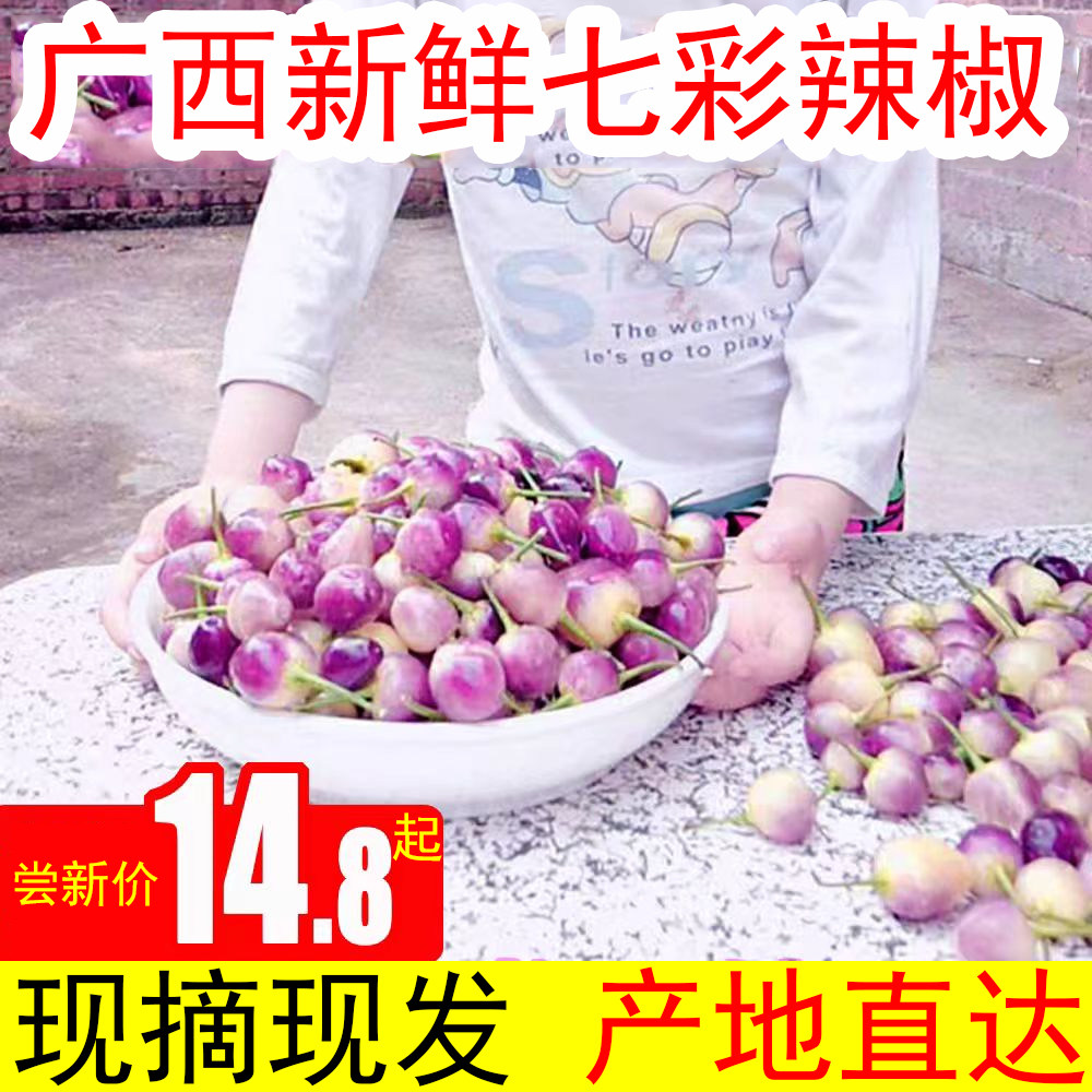 广西七彩椒新鲜农家特产酱香