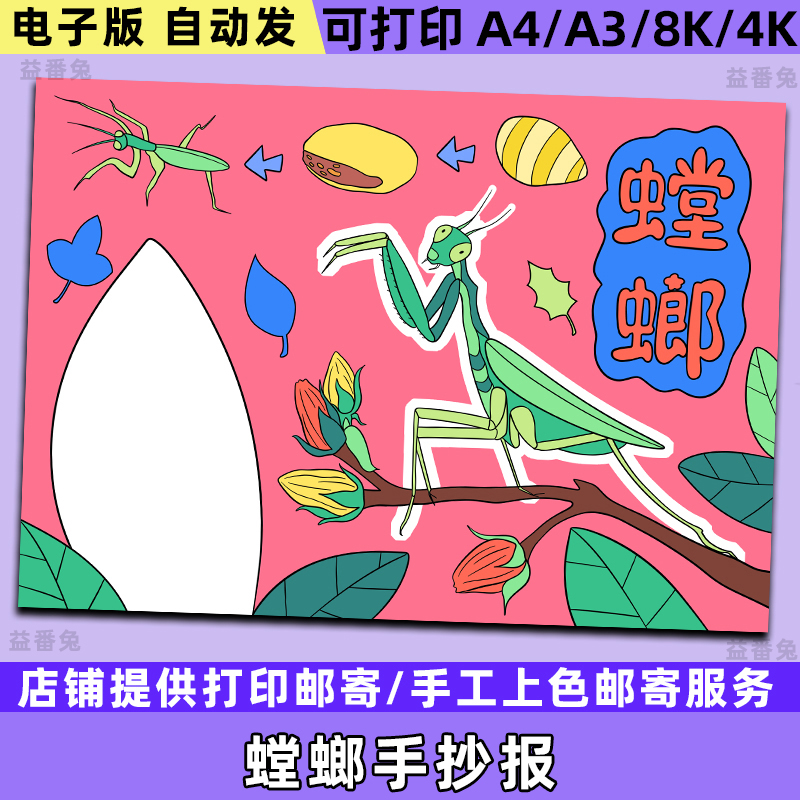 螳螂生长过程手抄报小学生昆虫自然笔记模板昆虫观察记录电子小报
